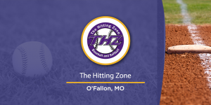 Hero image of The Hitting Zone